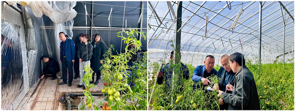 1678439595101555.jpg 核驗(yàn)圖片3_副本.jpg