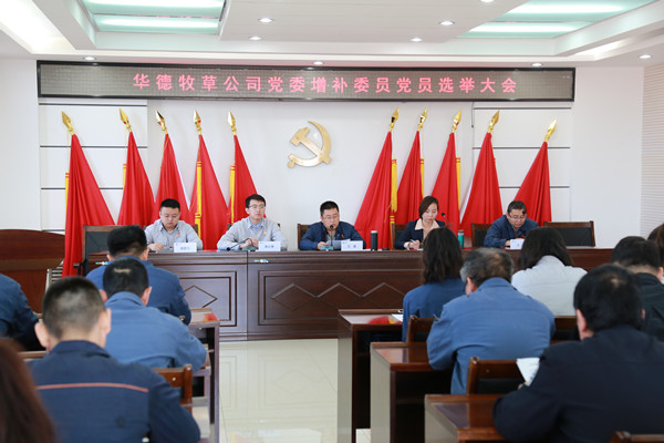 5、黨員大會(huì)_副本.jpg